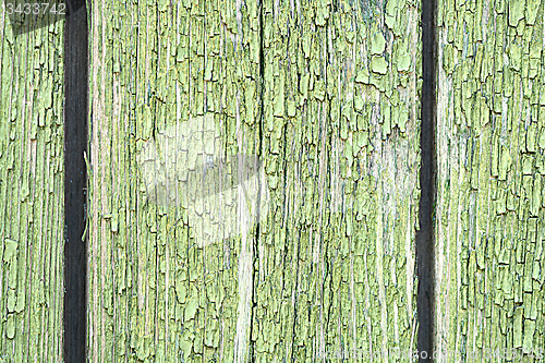 Image of Dark green wood. Natural texture background
