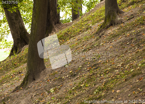 Image of park  