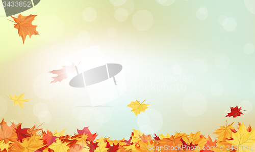 Image of Autumn  Frame