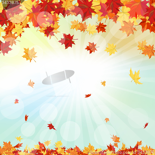 Image of Autumn  Frame