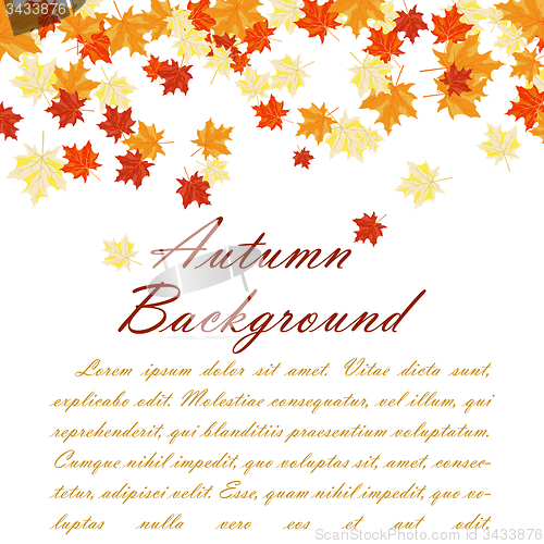 Image of Autumn  frame 