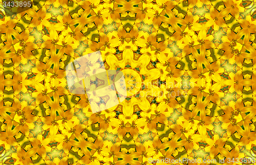 Image of Flower abstract pattern