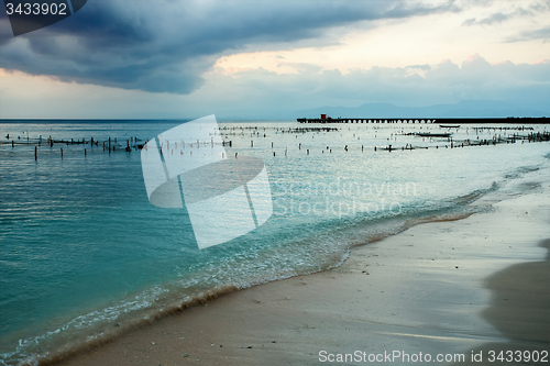 Image of Plantations of seaweed on beach, Algae at low tide