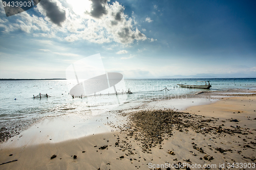 Image of Plantations of seaweed on beach, Algae at low tide