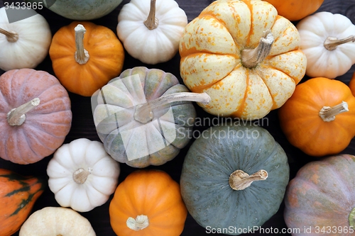 Image of Pumpkins.