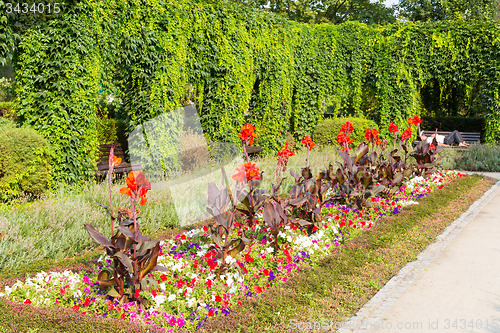Image of Classic garden