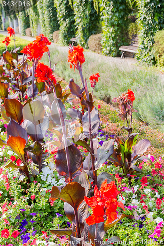 Image of Classic garden