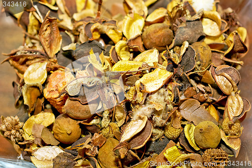 Image of Dry decoration