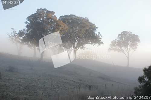 Image of Frost and Fog