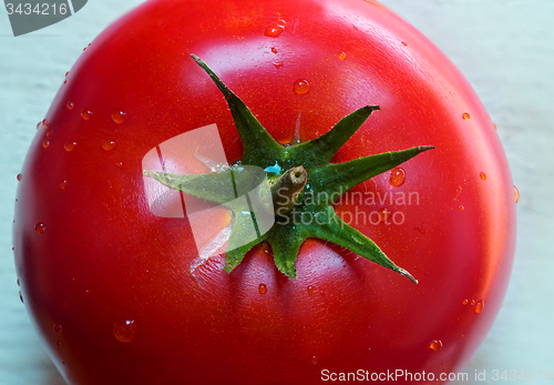 Image of Tomato