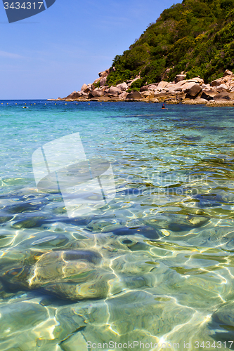 Image of   asia   the bay kho tao    white  beach     