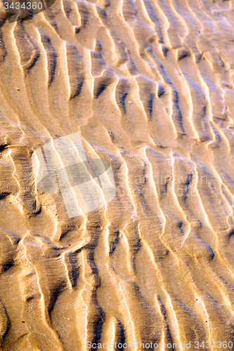 Image of dune morocco    near atlantic ocean