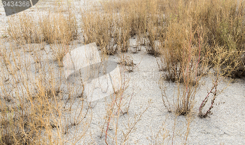 Image of arid environment