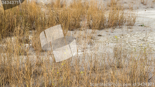 Image of arid environment