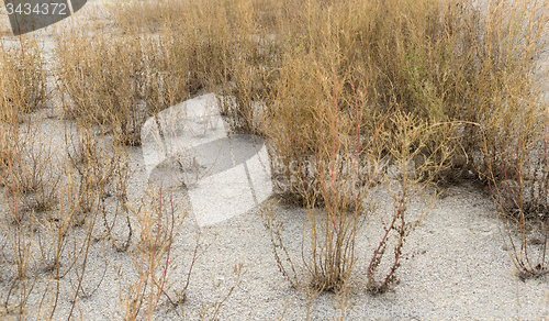 Image of arid environment