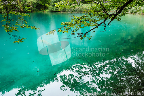 Image of Clear water of Plitvice Lakes, Croatia