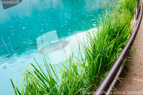 Image of Clear water of Plitvice Lakes, Croatia