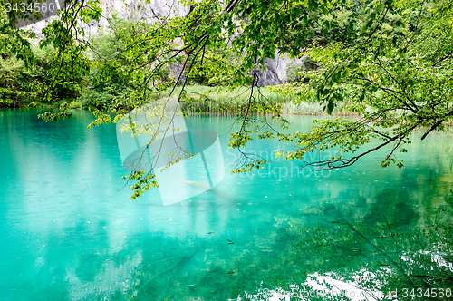 Image of Clear water of Plitvice Lakes, Croatia