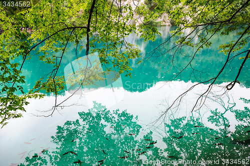 Image of Clear water of Plitvice Lakes, Croatia