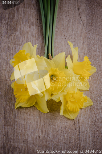 Image of Jonquil flowers