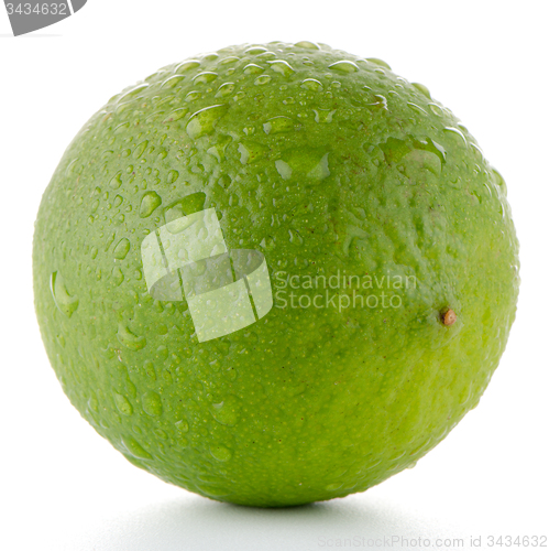 Image of Fresh green lime