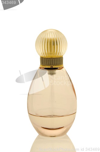 Image of Elegant perfume bottle