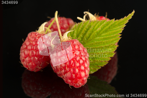 Image of Fresh raspberries