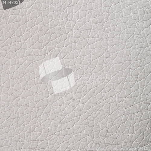 Image of White leather texture