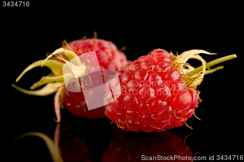 Image of Fresh raspberries