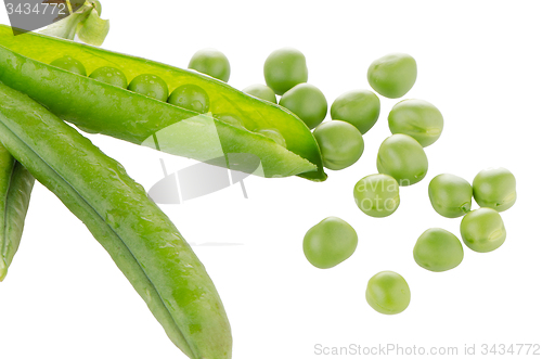 Image of Fresh green pea pod