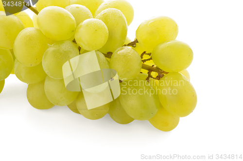 Image of Green grapes