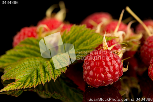 Image of Fresh raspberries