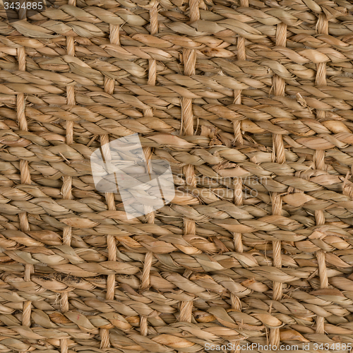 Image of Sisal carpet 