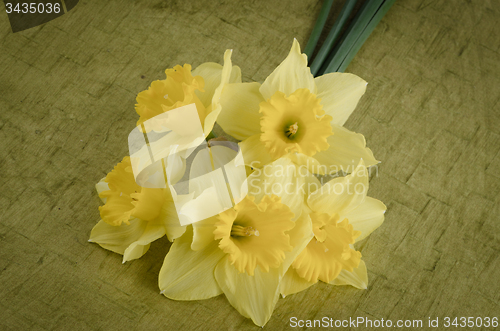 Image of Jonquil flowers