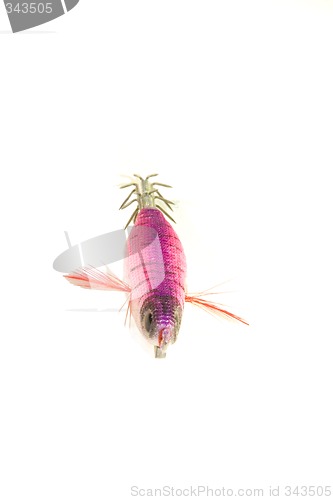 Image of lure