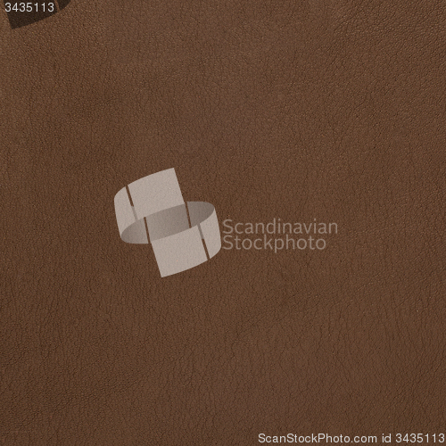 Image of Brown leather