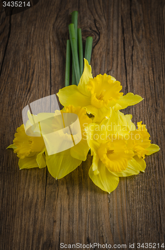 Image of Jonquil flowers