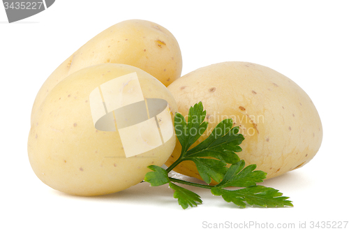 Image of New potatoes and green parsley