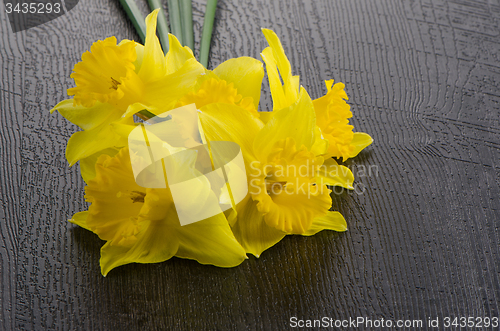 Image of Yellow jonquil flowers