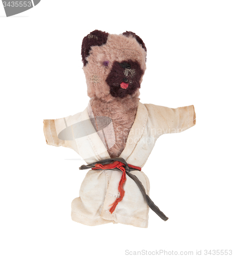 Image of Teddy Bear wearing a judogi