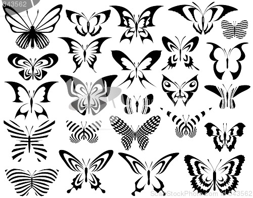 Image of Butterflies