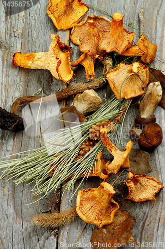Image of Dried Mushrooms