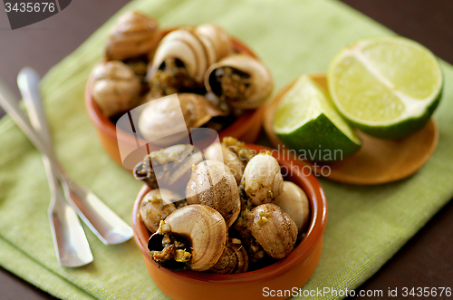 Image of Snails with Garlic Butter
