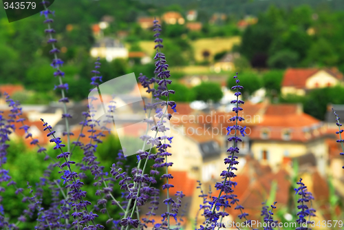 Image of Rooftops in Sarlat, France