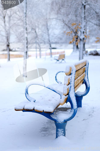 Image of Winter bench