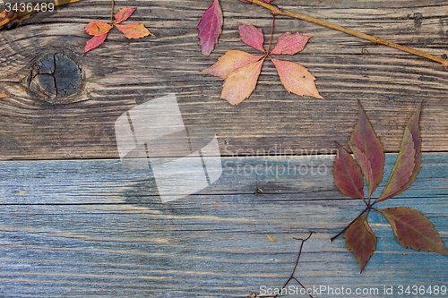 Image of Autumn still life