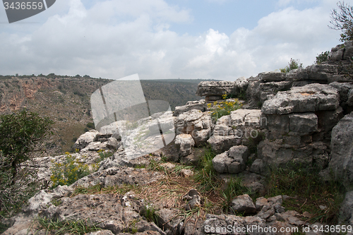 Image of Spring season landscape