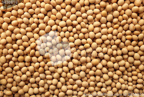 Image of Soya beans, or soybeans background