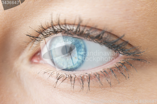 Image of Closeup woman eye