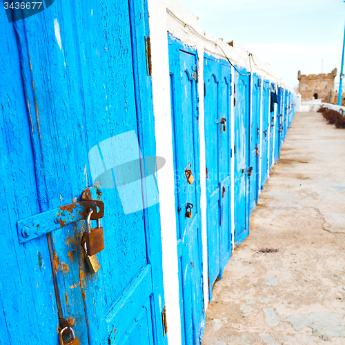 Image of in africa morocco  old harbor wood   door and the blue sky